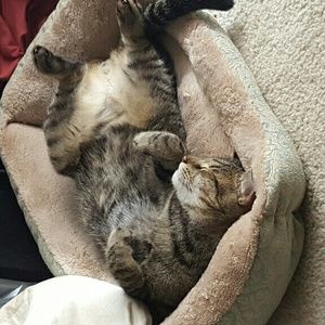 Meet your Posher, Laura