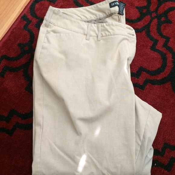 Dress pants