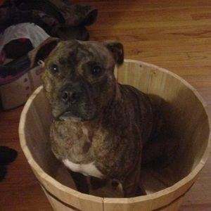 Meet your Posher, Laura