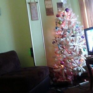 Meet your Posher, Cori