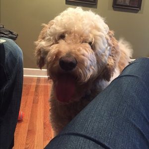 Meet your Posher, Heather