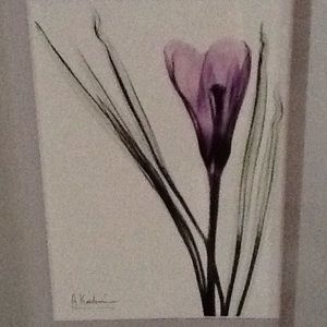 Meet your Posher, Terri