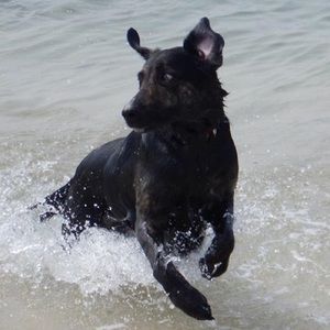 Meet your Posher, Haley