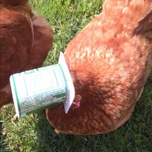 Meet your Posher, Charles