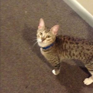 Meet your Posher, Marlon