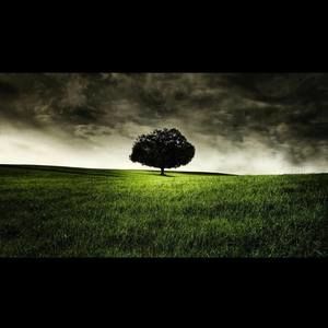 Meet your Posher, Bryant