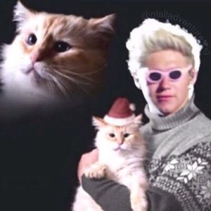 Meet your Posher, Al