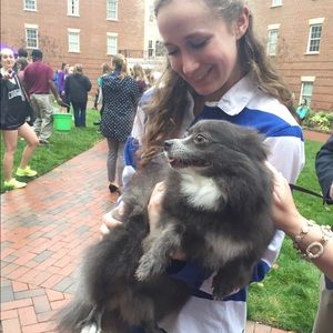 Meet your Posher, Abby