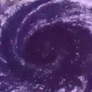 Meet your Posher, Destiny