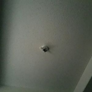 Meet your Posher, Miranda