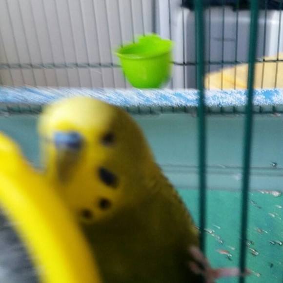 Meet your Posher, Marion - Picture 1 of 1