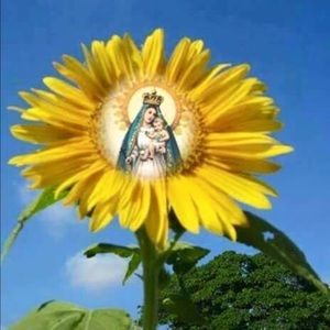 Meet your Posher, Tamara