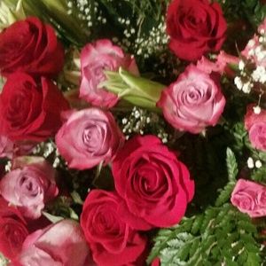 Meet your Posher, Marleni