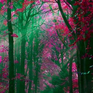 Meet your Posher, Tisha