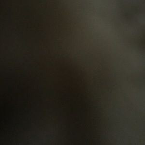 Meet your Posher, Tyra