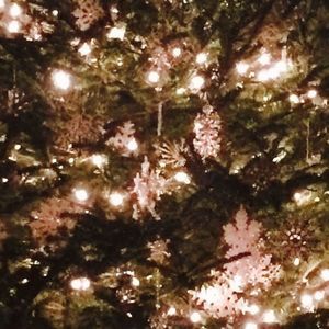 Meet your Posher, Holly