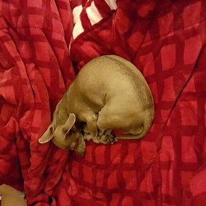 Meet your Posher, Veronica