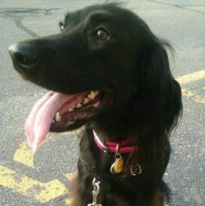 Meet your Posher, Laura