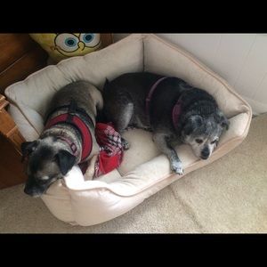 Meet your Posher, Priscilla