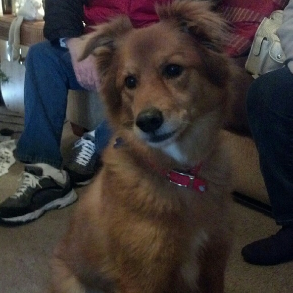 Meet the Posher - Picture 3 of 4