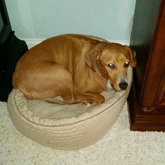 Meet the Posher - Picture 4 of 4