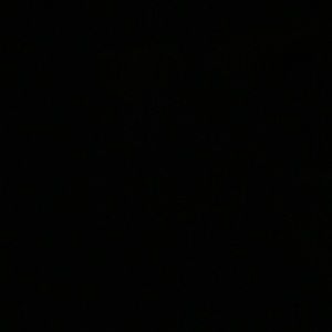 Meet your Posher, Laron