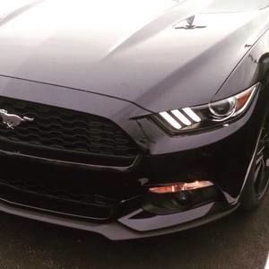 Meet your Posher, Anas