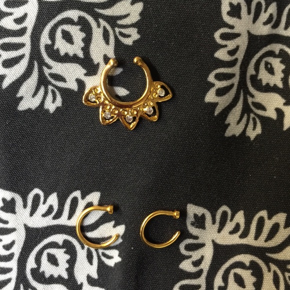 Faux Septum Rings (3)