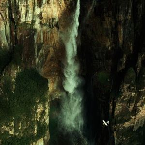 Meet your Posher, Travis