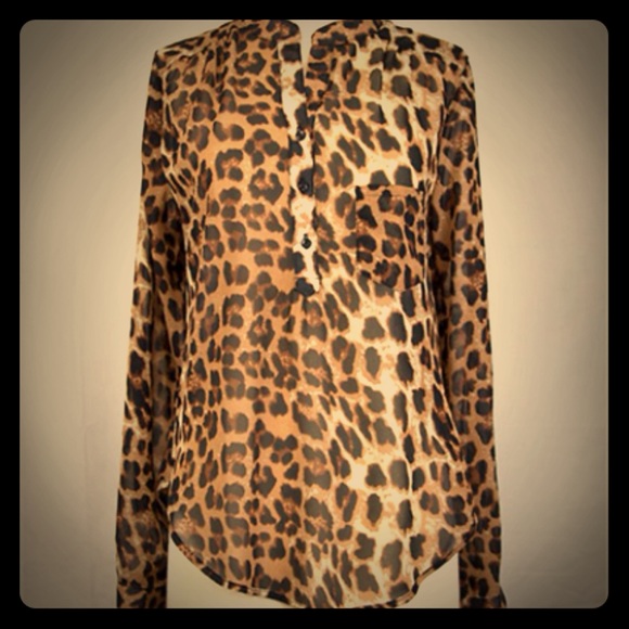 Leopard Blouse - Picture 1 of 4