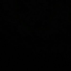 Meet your Posher, Sharondale