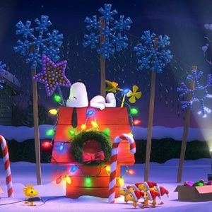 Meet your Posher, Janet