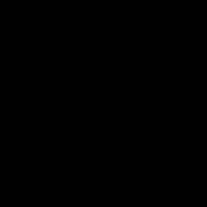 Meet your Posher, Capri