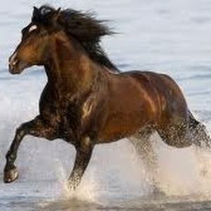 Meet your Posher, Jaclyn