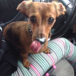 Meet your Posher, Marla