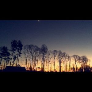 Meet your Posher, Alexis