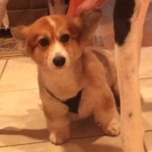 Meet your Posher, Jill