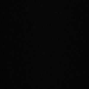 Meet your Posher, Sadie