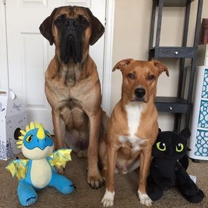 Meet your Posher, Heather