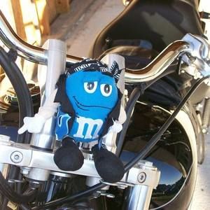 Meet your Posher, Diana