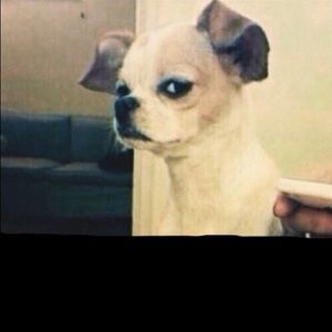 Meet your Posher, Miguel