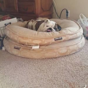 Meet your Posher, Patty