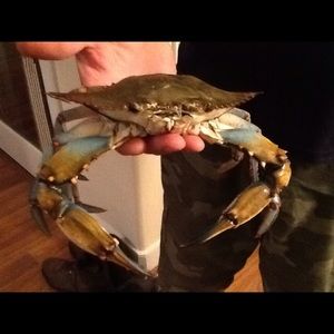 Meet your Posher, Kristina