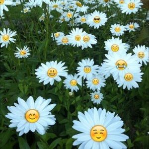 Meet your Posher, Laurel