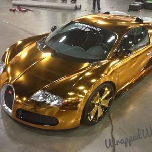 Meet your Posher, Samuel