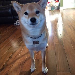 Meet your Posher, Victoria