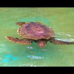 Meet your Posher, Bianca