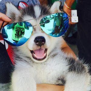 Meet your Posher, Fresh-look