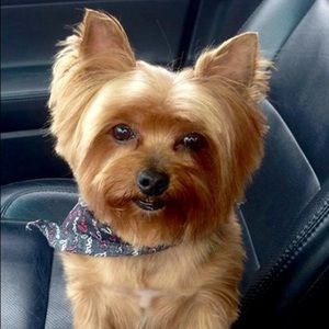 Meet your Posher, Gigi