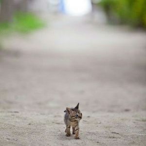 Meet your Posher, Shauna